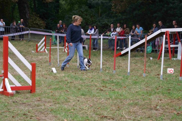 foire-haricots 2011-09-17et18